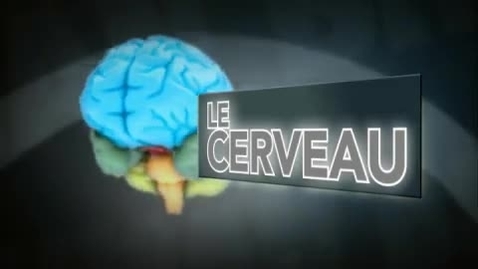 Thumbnail for FR-R2MR-S1-The-Brain-Navy-Seals-French-R-Werrett.mp4
