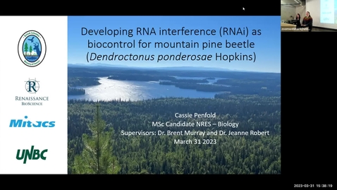Thumbnail for NRESi Colloquium - March 31st, 2023 - CIF Master's Afternoon speakers