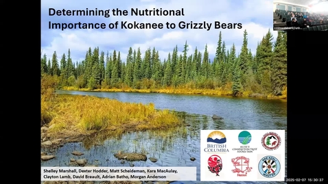 Thumbnail for NRESI Colloquium - February 7, 2025 - Determining the importance of kokanee to grizzly bears