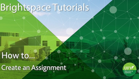 Create An Assignment