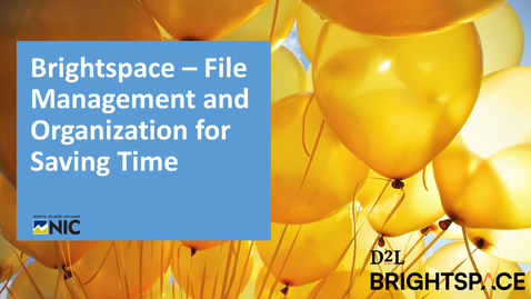 Thumbnail for Brightspace - File Management and Organization