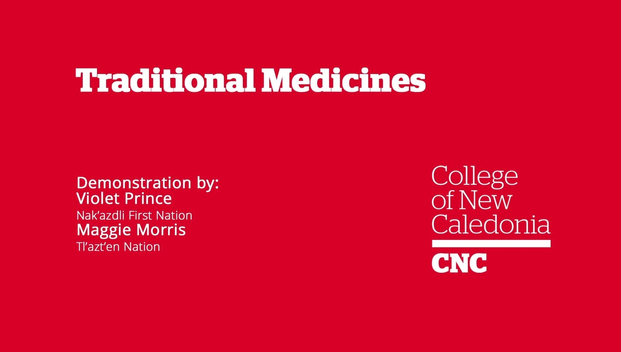 Traditional_Medicine
