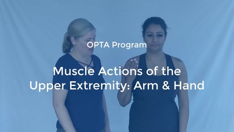 Thumbnail for OPTA-07: Muscle Actions of the Upper Extremity-Arm-Hand
