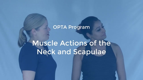 Thumbnail for OPTA-05: Muscle Actions of the Neck and Scapula