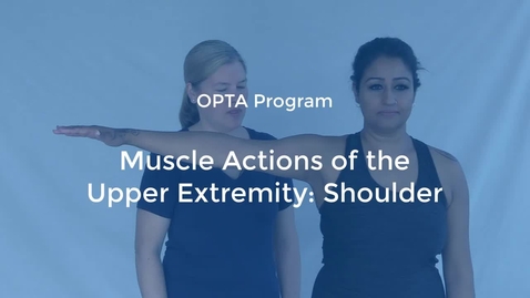 Thumbnail for OPTA-06: Muscle Actions of the Upper Extremity-Shoulder