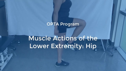 Thumbnail for OPTA-08: Muscle Actions of the Lower Extremity-Hip