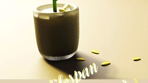 Thumbnail for The Lifespan of a Sunflower | Carmen Tang