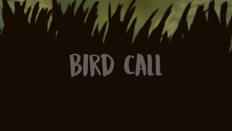 Thumbnail for Bird Call| Senichi Huang