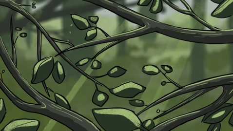 Thumbnail for DAWN | Nastenka Alava Calle