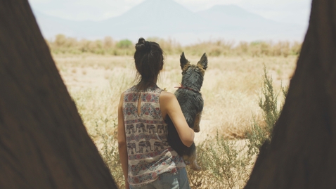 Thumbnail for PATIPERRO | Trailer