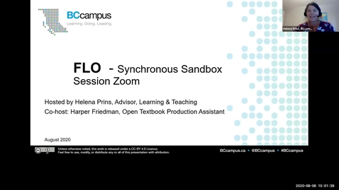 Thumbnail for FLO Synchronous Sandbox Session in Zoom - August 6, 2020
