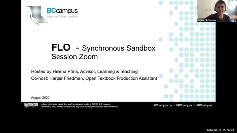 Thumbnail for FLO Synchronous Sandbox Session in Zoom - August 18, 2020