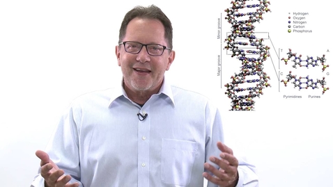 Thumbnail for Universality of the Genetic Code