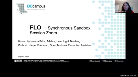 Thumbnail for FLO Synchronous Sandbox Session in Zoom - August 5, 2020