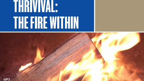 Thumbnail for 07. Thrivival: Research Framework and Questions