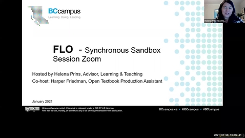 Thumbnail for FLO Synchronous Sandbox Session in Zoom (January 2021)