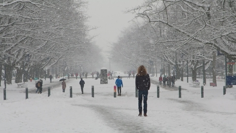 Thumbnail for UBCSnow_017