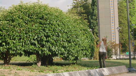 Thumbnail for UBCBrandBroll_Landscaping_001