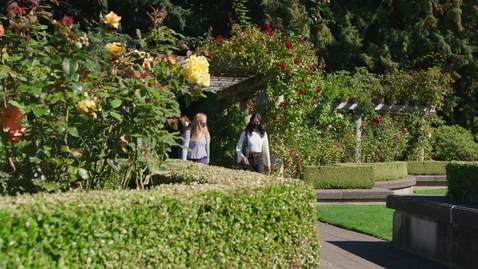 Thumbnail for RoseGarden_001