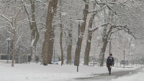 Thumbnail for UBCSnow_018