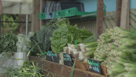 Thumbnail for Farm Market Stall 4