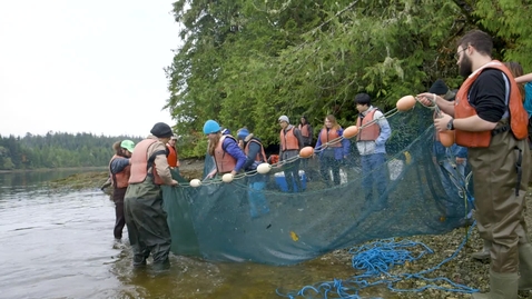 Thumbnail for Group of oceanography students carry large fishing net to the shore