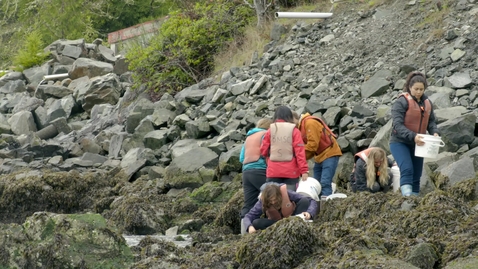 Thumbnail for Students collecting samples by rocky coastline