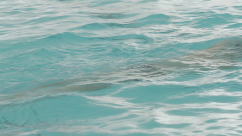 Thumbnail for UBCBrandBroll_StormTheWall_Pool_041