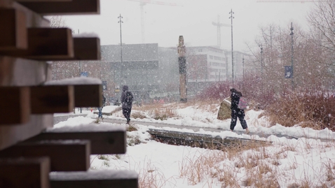 Thumbnail for UBCSnow_006