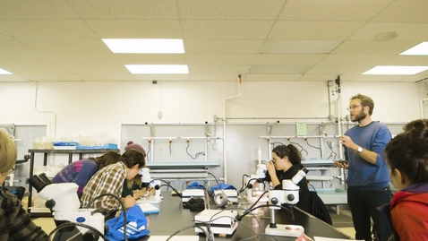 Thumbnail for Instructor lectures students in biology lab